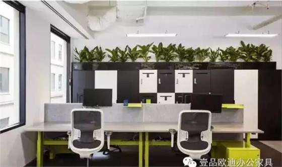 為什么辦公室里一定要養(yǎng)植物？-壹品歐迪辦公家具