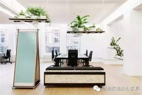 為什么辦公室里一定要養(yǎng)植物？-壹品歐迪辦公家具