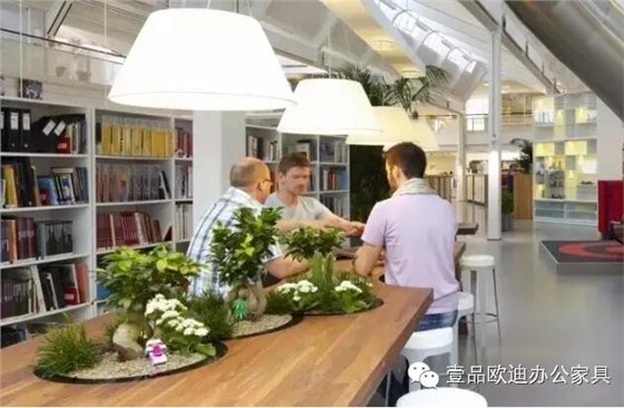為什么辦公室里一定要養(yǎng)植物?-壹品歐迪辦公家具 為什么辦公室里一定要養(yǎng)植物?-壹品歐迪辦公家具