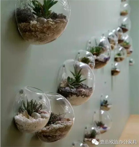 為什么辦公室里一定要養(yǎng)植物?-壹品歐迪辦公家具 為什么辦公室里一定要養(yǎng)植物?-壹品歐迪辦公家具